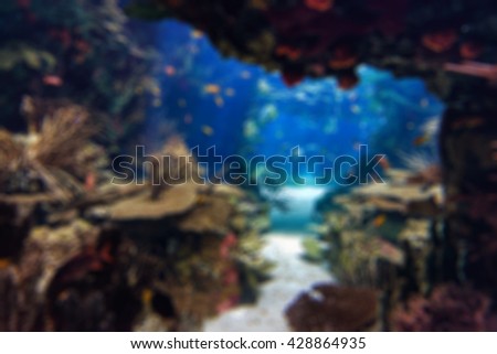 Blurry aquarium with fish, blurred for background