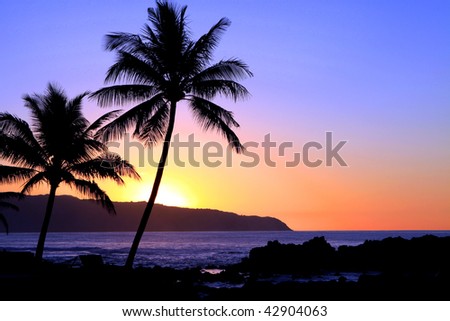 a beautiful Hawaiian sunset