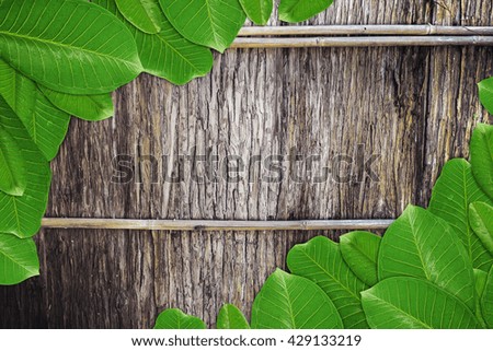 Green leaf Over Wooden Fence Texture Background 