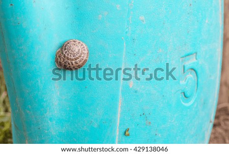 watering can with a snail