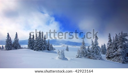 panorama view of the beauty winter