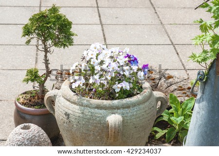 Garden ornament with pansy flowers in pots