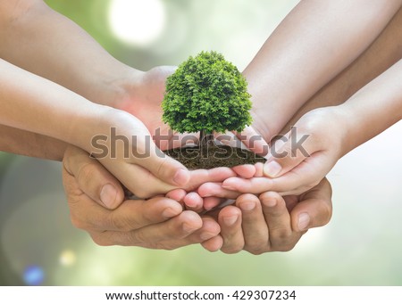 Tree planting on volunteer family's hands for eco friendly and corporate social responsibility campaign concept Royalty-Free Stock Photo #429307234