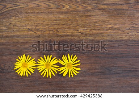 Yellow flowers on a simple wooden covering background
