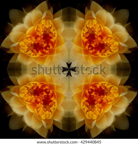 Photo Mandala of a white lotus