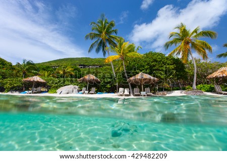 Beautiful tropical beach with palm trees, white sand, turquoise ocean water and blue sky at British Virgin Islands in Caribbean Royalty-Free Stock Photo #429482209