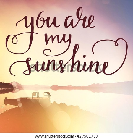 Inspirational Typographic Quote - you are my sunshine