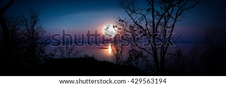 Panorama. Tree against sky over tranquil lake. Silhouettes of woods and beautiful moonrise, bright full moon would make a nice picture. Beauty of nature use as background. Outdoors.