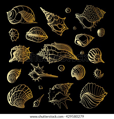 Golden sea shell. Collection of seashells. Hand drawn vector Illustration.