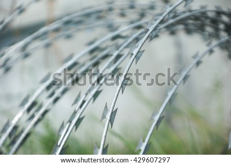 Barbed Razor Wire Close-up


