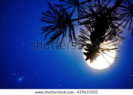 Defocused pine branch and full moon on the night sky. Full Moon and star. Night sky with mystic moon. Moon background