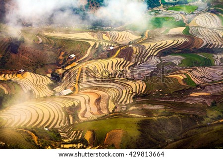 nature landscape as painting picture with terraced rice fields 