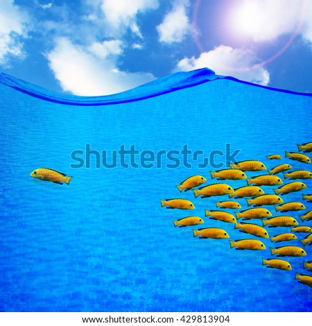 Many fishes in blue water. Against the stream concept