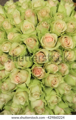 Bridal decorations: pale pink roses in a wedding centerpiece