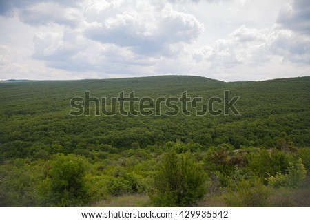 forest green mountains nature green forest mountain