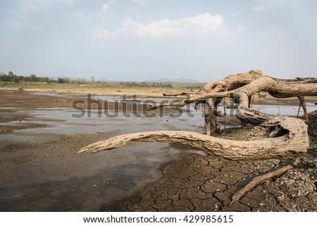 Drought cracked soil sky stump basin .