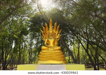 golden buddha with nagas