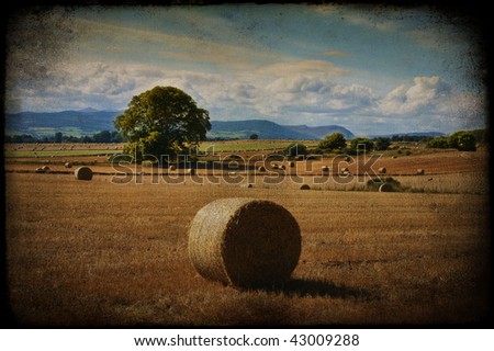 photo grunge texture of a nature rural landscape