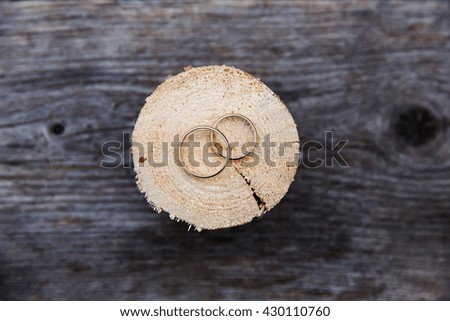 Wedding rings on the cracked stump