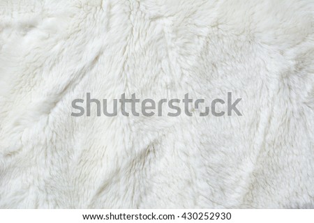 White fur close up background