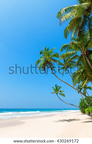 Tropical beach with palm trees on ocean shore and clean sand at sunny day