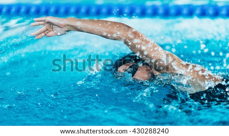 Front crawl swimmer in the pool