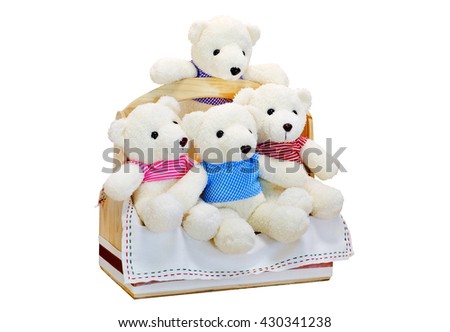 Cute Teddy Bear Sitting in a Picnic Basket