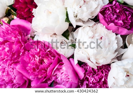 Large beautiful bouquet of pink and white peony