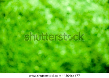 Green bokeh soft background