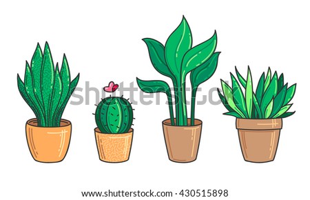 Houseplants set. Vector illustration