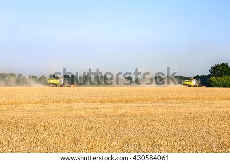 Combine harvesters on field wheat in during harvest with of straw dust in the air