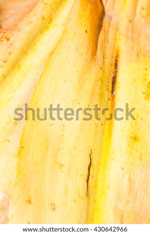 Pattern of yellow leaf background and texture. Blurred.