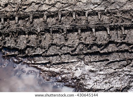 Tire tracks on a muddy road