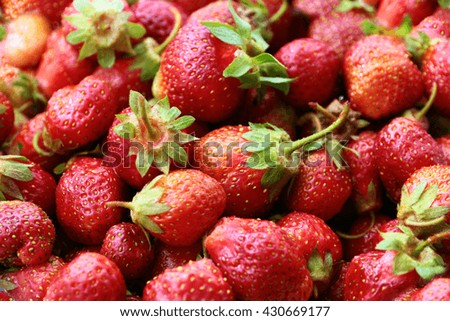 beautiful crop of garden sweet ripe strawberries
