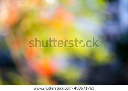 autumnal natural background blurring