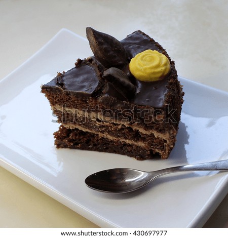 slice of delicious chocolate cake in white flat plate, closeup