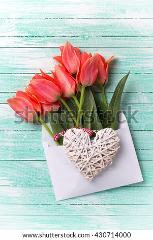 Spring tulips in white envelope and heart  on turquoise painted wooden background. Selective focus.  Flat lay.
