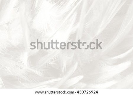 Bohemian boho style vintage color trends ,Chicken feather texture background