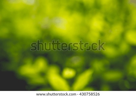 Abstract green nature background