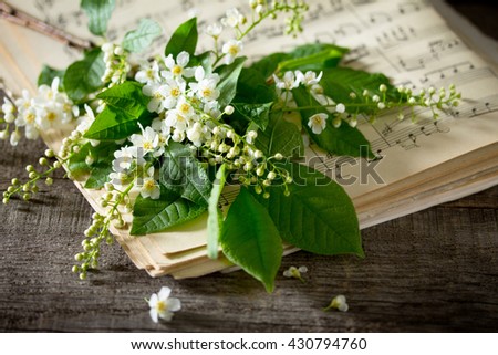 Bouquet of a bird cherry branches in a ceramic jug on vintage wooden table, selective focus.