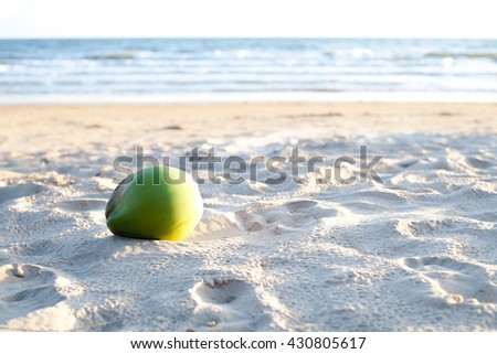 The green coconut on the left of the picture is on the beach, with the sky and sea as the background.
