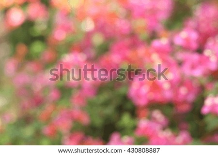 Blurred tree and pink and green and brown background scene, popular