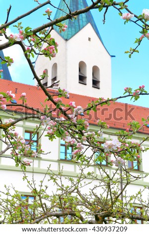 The picture was taken in the spring in Germany. The picture shows a branch of a blossoming tree on the background of the old tower.