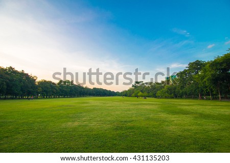 Green beautiful park and blue sky in evening Royalty-Free Stock Photo #431135203
