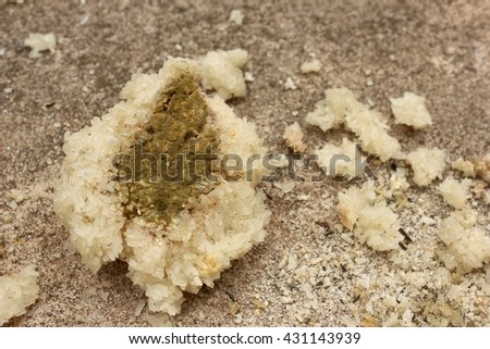 Fungus on rice, rancid rice