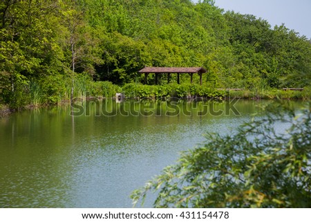 House by the River in the forest canopy