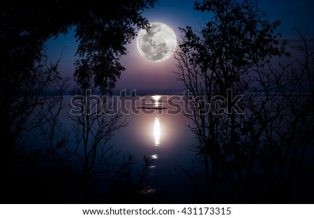 Tree against sky over tranquil lake. Silhouettes of woods and beautiful moonrise, bright full moon would make a nice picture. Beauty of nature use as background. Outdoors.