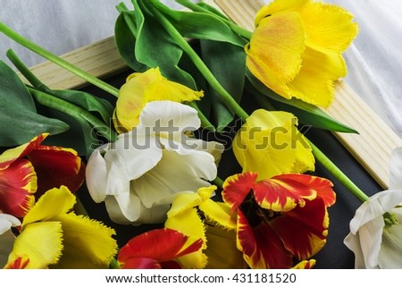 Tulips, interestingly lying on the table
