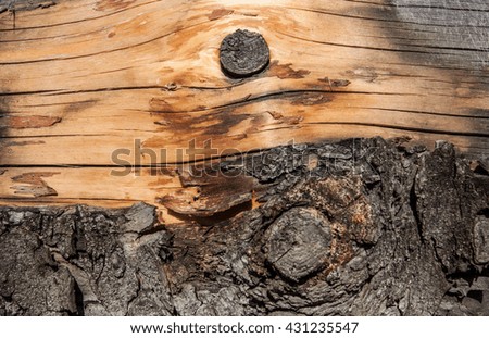 Natural wood texture. Can be used for design, websites, interior, background, backdrop, texture creation, the use of graphic editors and illustration.