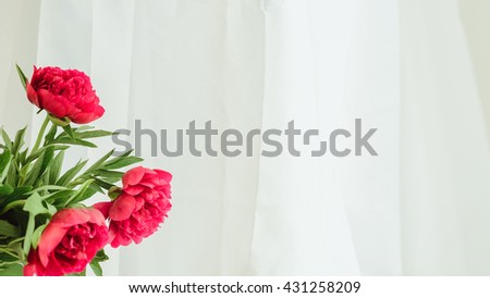 three red peony on a white background with copyspace